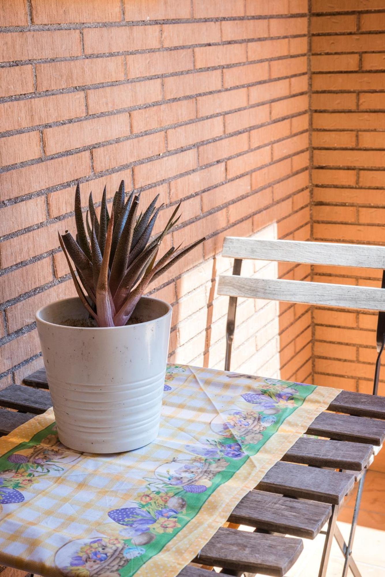 Travelershome Ciampino Suite Exterior photo